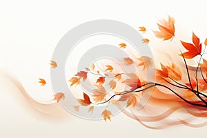 Artful composition of autumn leaves, set against a pristine white background. The varied shapes, colors, and textures of the