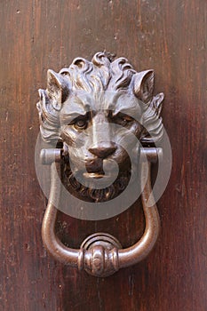 Artful lion head as a door knocker on an antique door in Italy