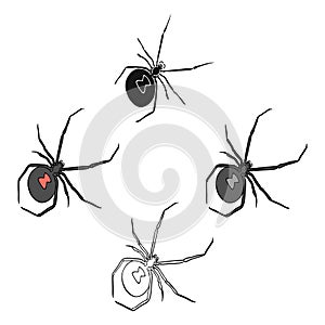 An arthropod bug is an insect.A spider, a predatory insect single icon in cartoon,black style vector symbol stock