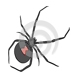 An arthropod bug is an insect.A spider, a predatory insect single icon in cartoon style vector symbol stock isometric