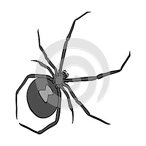 An arthropod bug is an insect.A spider, a predatory insect single icon in monochrome style vector symbol stock isometric