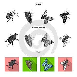 Arthropods insect beetle, moth, butterfly, fly. Insects set collection icons in black, flat, monochrome style vector