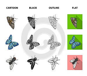 Arthropods insect beetle, moth, butterfly, fly. Insects set collection icons in cartoon,black,outline,flat style vector