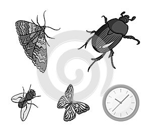 Arthropods insect beetle, moth, butterfly, fly. Insects set collection icons in monochrome style vector symbol stock