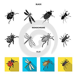 Arthropods Insect ladybird, dragonfly, beetle, Colorado beetle Insects set collection icons in black, flat, monochrome