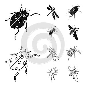 Arthropods Insect ladybird, dragonfly, beetle, Colorado beetle Insects set collection icons in black,outline style