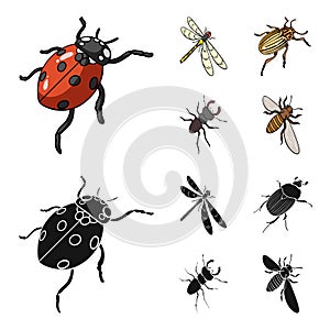 Arthropods Insect ladybird, dragonfly, beetle, Colorado beetle Insects set collection icons in cartoon,black style