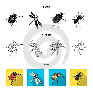 Arthropods Insect ladybird, dragonfly, beetle, Colorado beetle Insects set collection icons in cartoon style vector