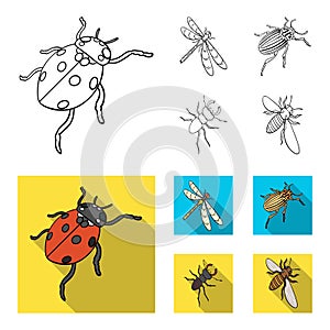 Arthropods Insect ladybird, dragonfly, beetle, Colorado beetle Insects set collection icons in outline,flat style vector