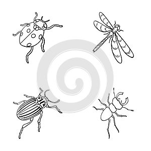 Arthropods Insect ladybird, dragonfly, beetle, Colorado beetle Insects set collection icons in outline style vector