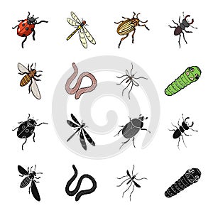 Arthropods insect mosquito, bee.Earth worm, caterpillar,vermicular set collection icons in black,cartoon style vector