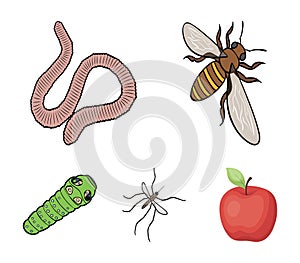 Arthropods insect mosquito, bee.Earth worm, caterpillar,vermicular set collection icons in cartoon style vector symbol