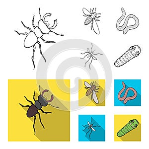 Arthropods insect mosquito, bee.Earth worm, caterpillar,vermicular set collection icons in outline,flat style vector photo