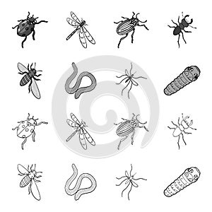 Arthropods insect mosquito, bee.Earth worm, caterpillar,vermicular set collection icons in outline,monochrome style