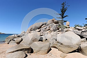 Arthur Bay beach scene with granite rocks and hoop pine, Magnetic Island, Queensland, Australia