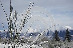 Arthurs Pass in snow photo