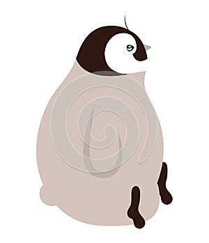 artic animal cute penguin