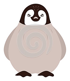 artic animal penguin