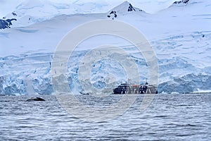 Artic Ship Whale Breathing Snow Glaciers Mountains Charlotte Bay Antarctica