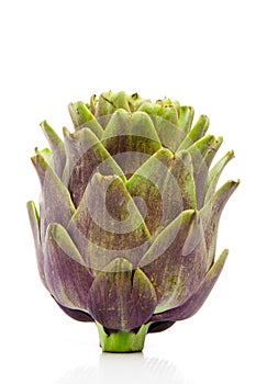 Artichoke