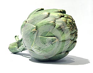 Artichoke