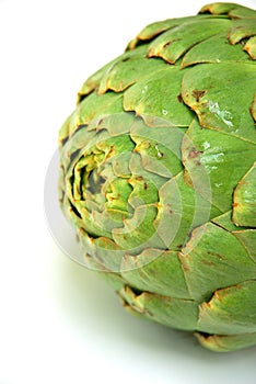 Artichoke