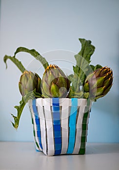 Artichoke Bouquet