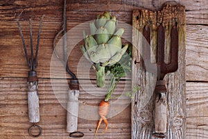 Artichoke, carrot and olds garden tools