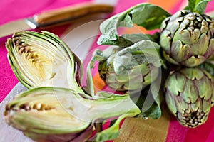 Artichoke Composition