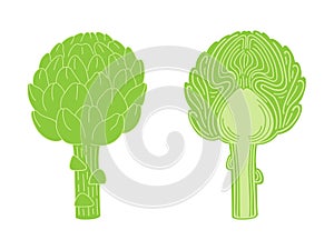 Artichoke and cut artichoke flat vector doodle illustration. Green vegetables healthy food clipart