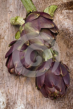 Artichoke (Cynara cardunculus)