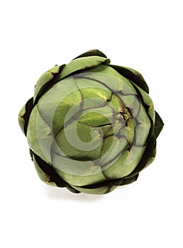 ARTICHOKE cynara scolymus AGAINST WHITE BACKGROUND