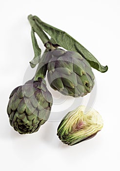 Artichoke, cynara scolymus against White Background