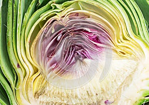 Artichoke flower edible bud cross cut section