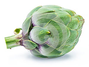 Artichoke flower edible bud isolated on white background