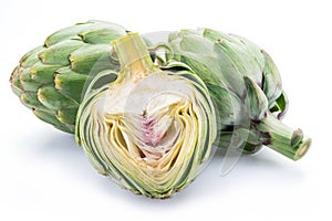 Artichoke flower edible buds isolated on white background