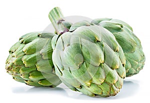 Artichoke flower edible buds isolated on white background