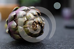 Artichoke flower fresh on dark background. Organic healty artichoke