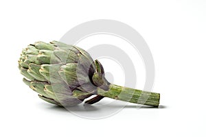 Artichoke - Green Artichoke `Carciofo` On White Background photo