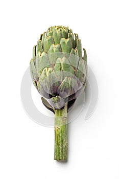 Artichoke - Green Artichoke `Carciofo` On White Background photo