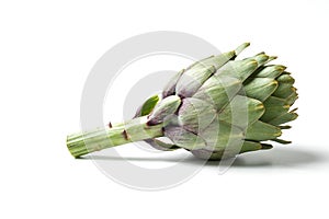 Artichoke - Green Artichoke `Carciofo` On White Background photo