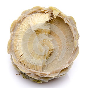 Artichoke heart