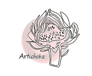 Artichoke. Line art graphic. Restaurant template. Vector illustration