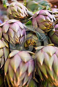 Artichoke in the market