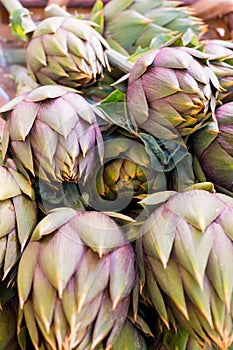 Artichoke in the market