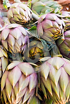 Artichoke in the market