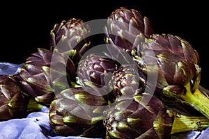 The artichoke is a plant of the Asteraceae family cultivated in Italy and other countries for food and, secondarily, medicinal