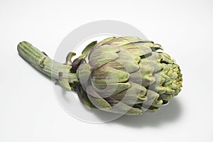 Artichoke with shadow on white