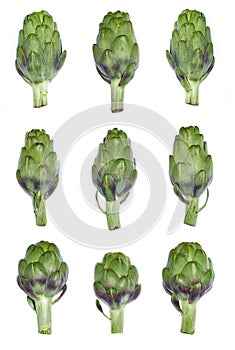 Artichoke shape set