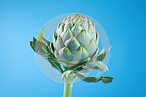 Artichoke suspended in midair against a bright blue backdrop